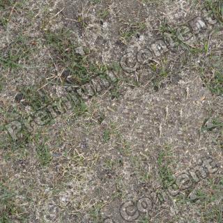 High Resolution Seamless Grass Texture 0005